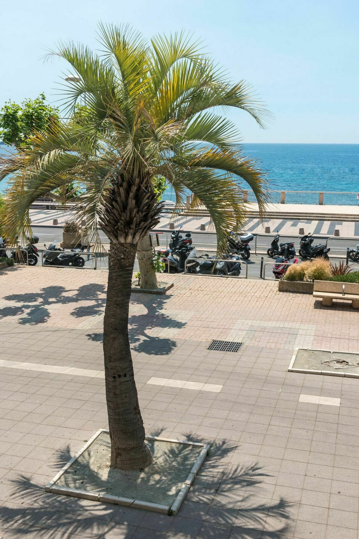 大陆酒店 Saint-Raphaël 外观 照片